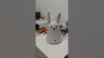 Nabaztag as a Rhasspy satellite - 2