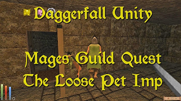 Daggerfall Unity — 37 — Mage Guild Quest — The Loose Pet Imp