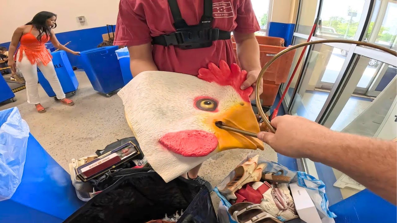 Goodwill Bins Strikes Again!