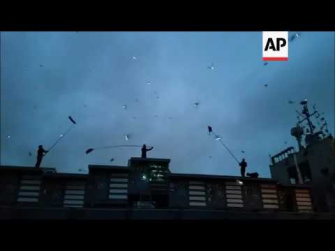 Raw: Pigeons Make LED Art