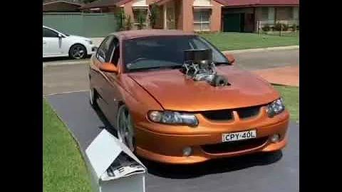 Blown LS VX SS tiger mica 💦