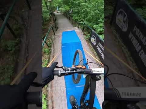 Insane Downhill POV