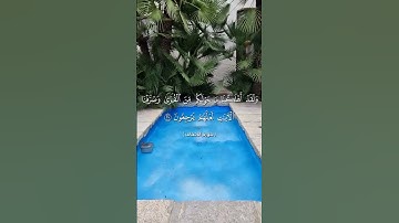 🌺القرآن الكريم 🌺ما تيسر من سورة الأحقاف