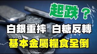 起跌？白銀重摔 白糖反轉 基本金屬糧食全倒 20230512《楊世光在金錢爆》第3099集