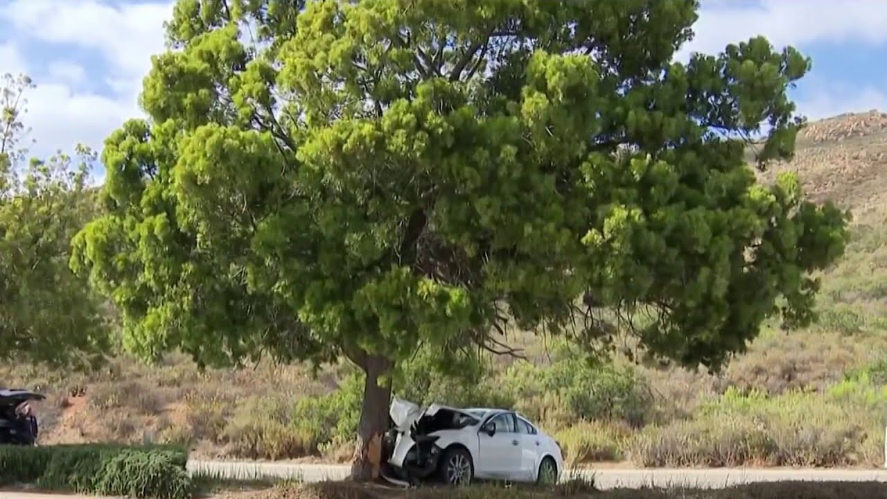 Teenager killed, others injured in San Carlos crash | NBC 7 San Diego ...