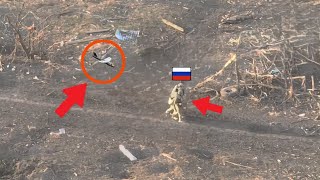 FPV-дрон размотал по сторонам российскую пехоту! Унизительный разгром россиян!