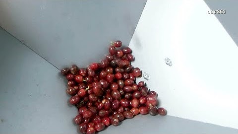 Bext360 uses blockchain to give coffee farmers a boost