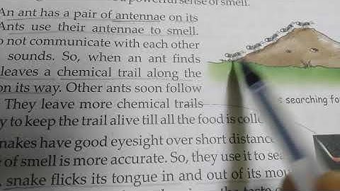 Class 5, EVS, Chapter-8, Searching for Food, Reading, Pt 1