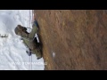 Middle of video
