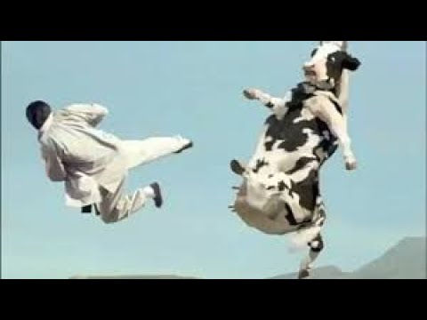 Драка:Джеки Чан против Коровы.Старое видео.Ностальгия.