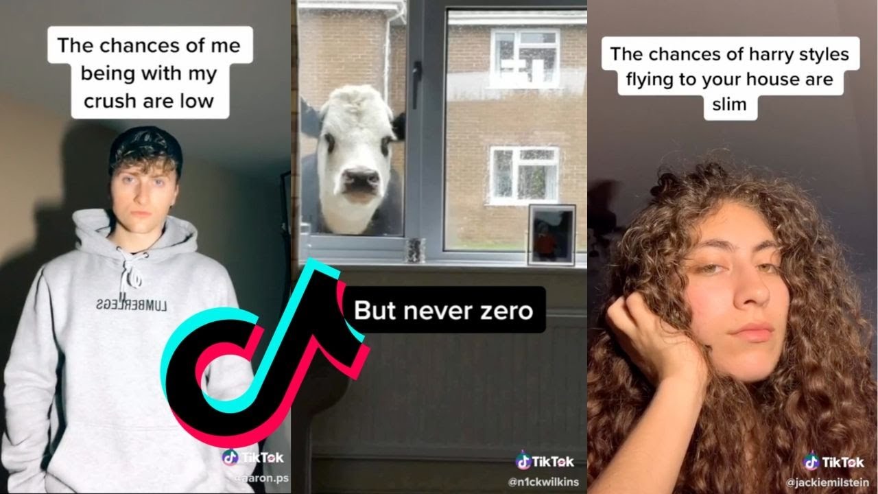 The Chances Are Low But Never Zero Tik Tok Meme Compilation Youtube