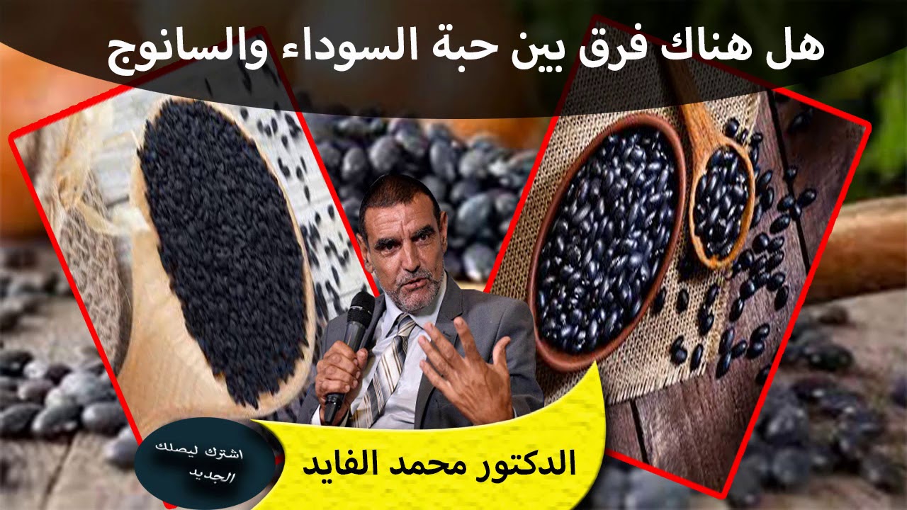 هل هناك فرق بين حبة السوداء اوحبة البركة والسانوج اجابة ستصدمك  الدكتور محمد الفايد