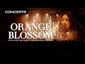 Capture de la vidéo Orange Blossom - Maria | Live At Les Escales De Saint-Nazaire