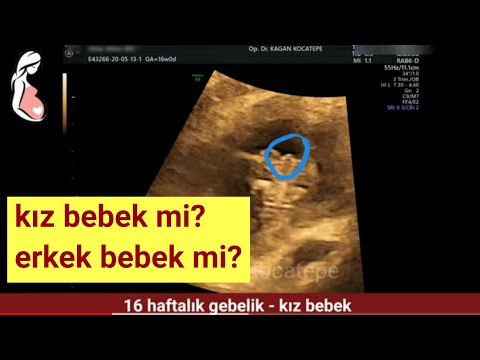 Video: Bebeğin Ne Zaman Olacağı Nasıl Anlaşılır