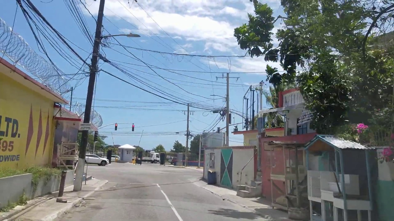 Birdsucker Lane | Kingston