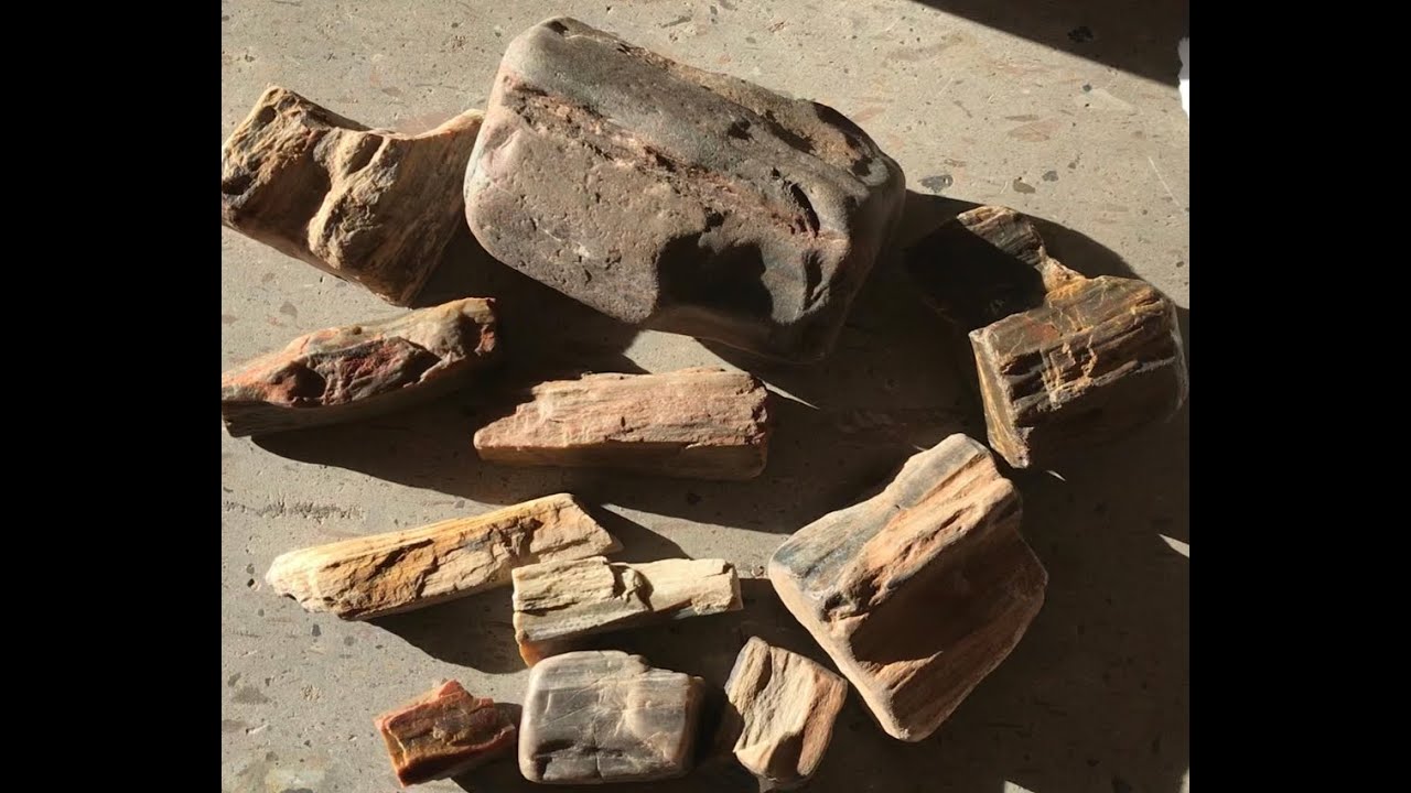 Rockhounding Rio Puerco Jasper and Petrified Wood Near Los Lunas, New Mexico