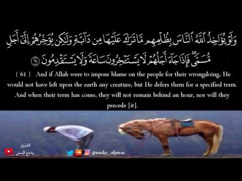 وديع اليمني تلاوة خشوع هدوء وسكينة ولله يسجد ما في السماوات وما في الأرض من دابة والملائكة