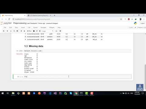 3- Preprocessing Missing Values