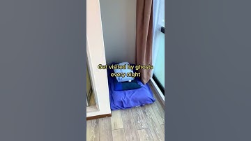 tiny apartment in Tokyo japan😍🇯🇵