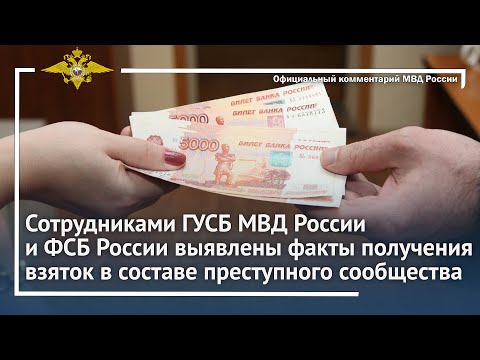 Ирина Волк: В Ростовской области выявлены факты получения взяток в составе преступного сообщества