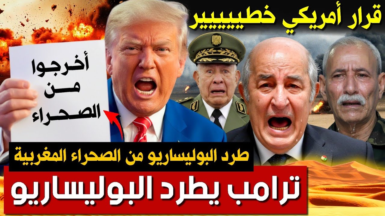  البوليساريو تقبل قرار ترامب و تخرج من الصحراء و النظام الجزائري مصدوم | بودكاست التاريخ الصامت
