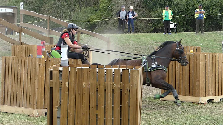 SCHFER Sandra, GER, FEI WCH P1,2,4, Marathon P1, O...