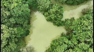 基隆調和街因湖泊溢流積水  市府將會勘研議改善