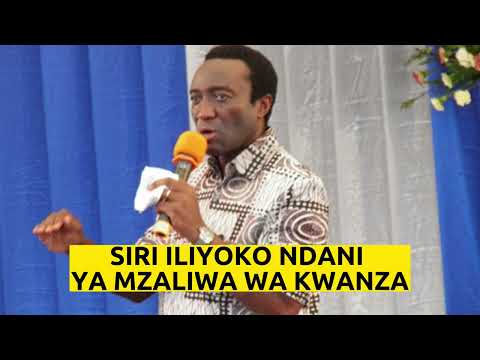 Video: Mzaliwa wa brunnera macrophylla unatoka wapi?