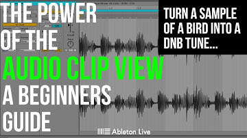 Ableton Live 12 Beginner’s Guide  Audio Clip View Explained