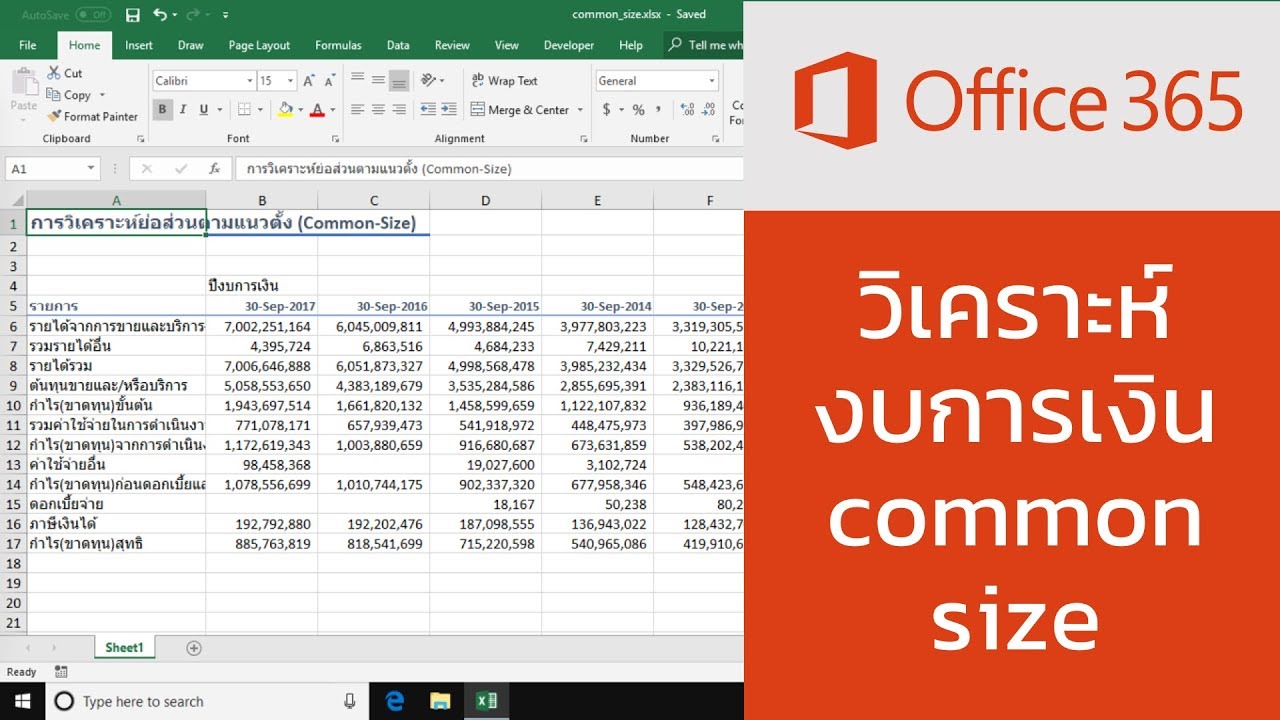 วิเคราะห์งบการเงินด้วย Excel: วิเคราะห์งบแบบ Common Size