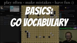 Sutrday Lesson: Basic Go Vocabulary