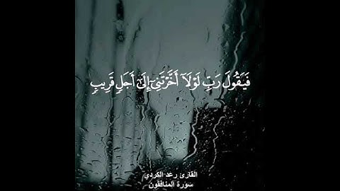 آيات عن الانفاق والصدقة