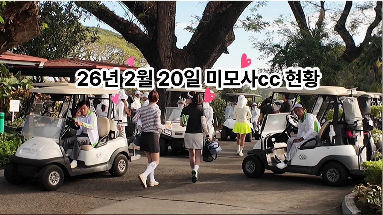 필리핀 클락골프 미모사cc 26년 2월 20일 현황 #필리핀 #클락 #앙헬레스 #골프 #미모사 #아델투어
