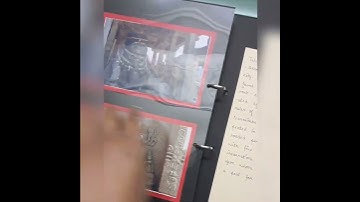 HISTORY PROJECT FILE