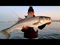 pesca de striped bass en new jersey