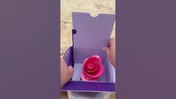 Justin Bieber Someday Perfume #bieberfever #early2000s #throwback