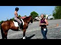 Tara Jones-- Secret of posting trot-- zipper/pocket-- Riding position