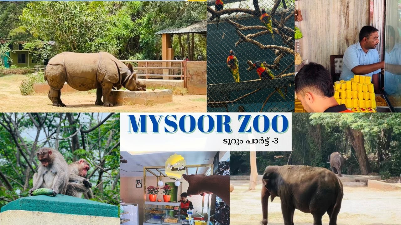 ടൂറും പാർട്ട് 3 Mysoor zoo Guru sweets Nisha Kitchen Video759