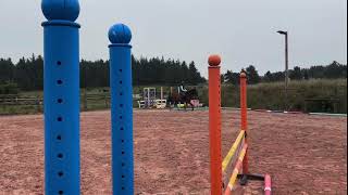 Incy Wincy schooling 110/120cm and flatwork 