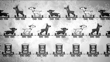 my flea has dogs