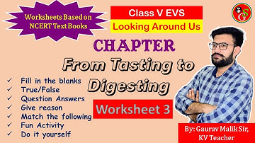 Chapter 3 From Tasting to Digesting Worksheet  | NCERT Class 5 EVS | By KV Teacher | School Guide