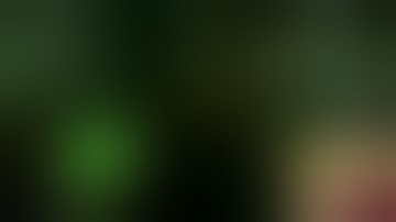 Alien: Isolation Official Let