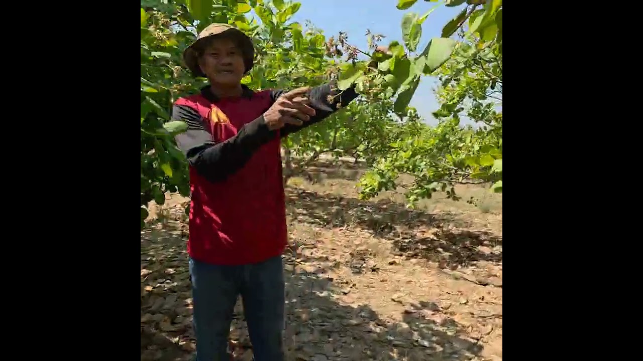 ស្រុកម៉ាល័យខេត្តបន្ទាយមានជ័យ