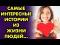 Самые интересные истории из жизни людей