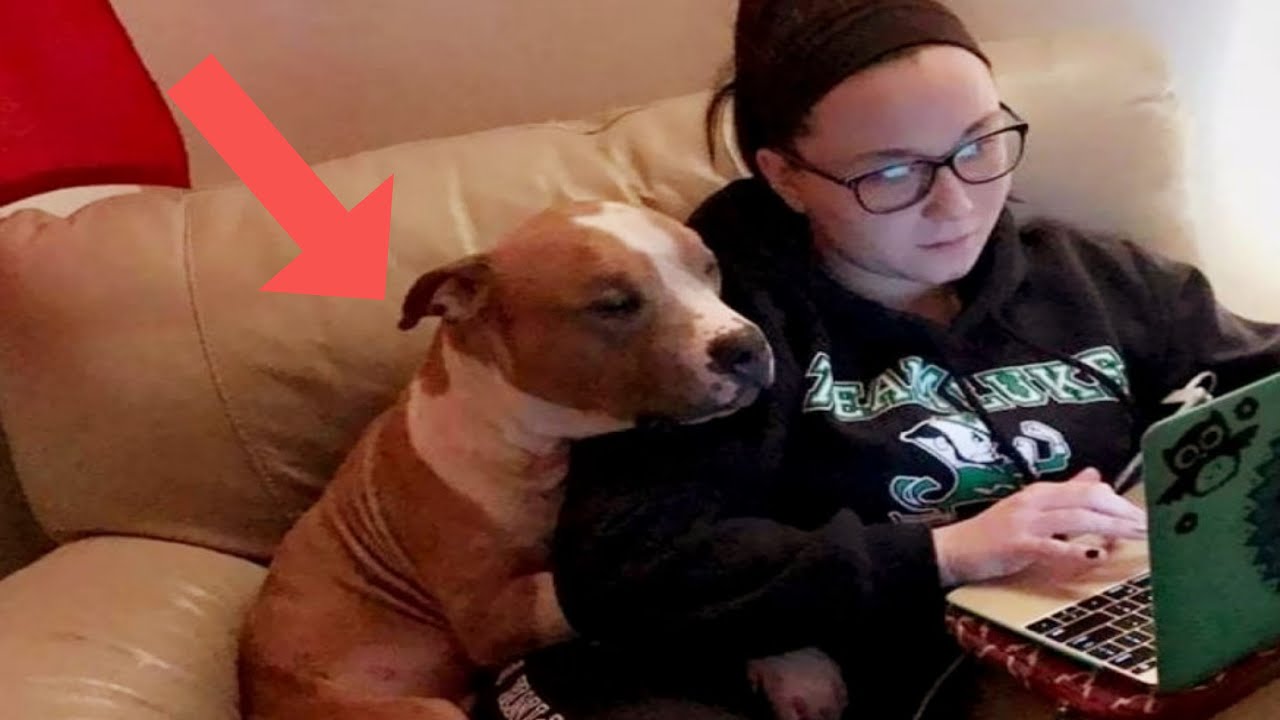 Cuddle Pit Patreon