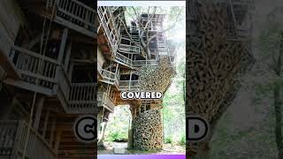 The Worlds Largest Treehouse
