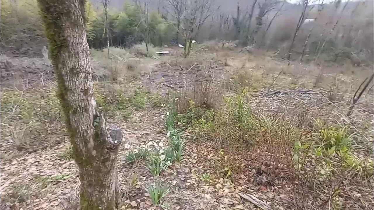 Квадроциклы поселок Ахштырь