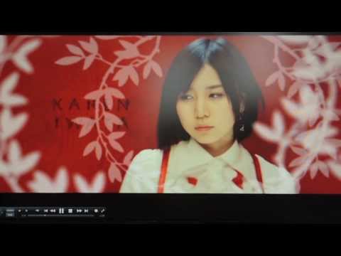 バラの果実　PVフル
