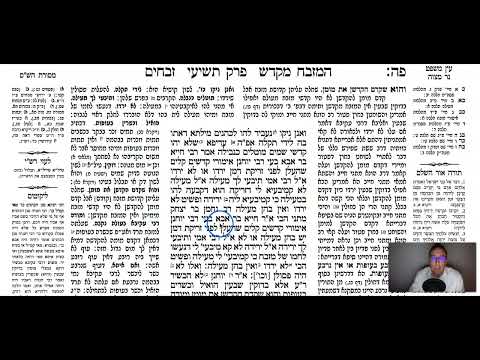 Zevahim 85b - Youtube