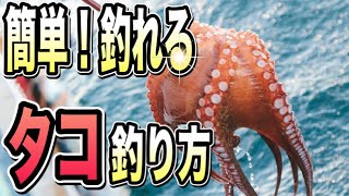 簡単で数が釣れる！　タコ釣りのアクションとタコエギをお伝えします！